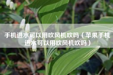 手机进水可以用吹风机吹吗（苹果手机进水可以用吹风机吹吗）