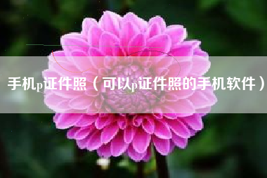手机p证件照（可以p证件照的手机软件）