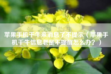 苹果手机千牛来消息了不提示（苹果手机千牛信息老是不提醒怎么办？）