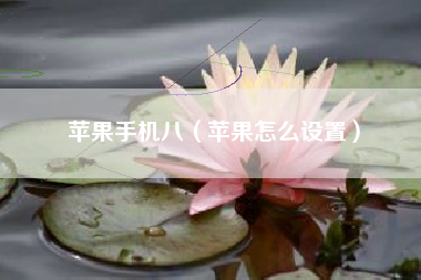 苹果手机八（苹果怎么设置）