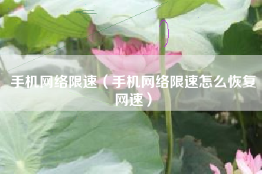 手机网络限速（手机网络限速怎么恢复网速）