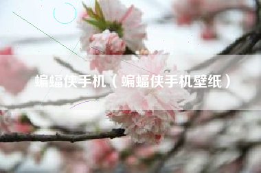 蝙蝠侠手机（蝙蝠侠手机壁纸）