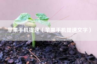 苹果手机提速（苹果手机提速文字）