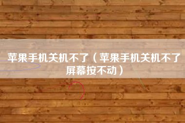苹果手机关机不了（苹果手机关机不了屏幕按不动）
