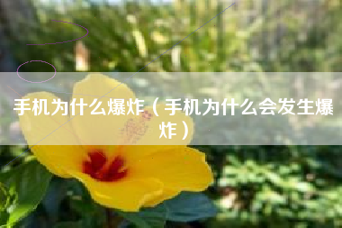 手机为什么爆炸（手机为什么会发生爆炸）