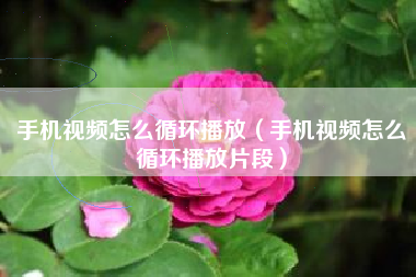 手机视频怎么循环播放（手机视频怎么循环播放片段）