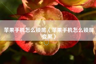 苹果手机怎么锁屏（苹果手机怎么锁屏变黑）