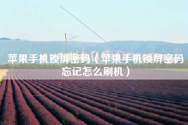 苹果手机锁屏密码（苹果手机锁屏密码忘记怎么刷机）