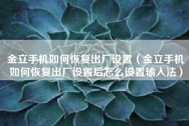 金立手机如何恢复出厂设置（金立手机如何恢复出厂设置后怎么设置输入法）
