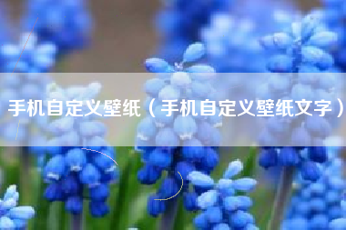 手机自定义壁纸（手机自定义壁纸文字）