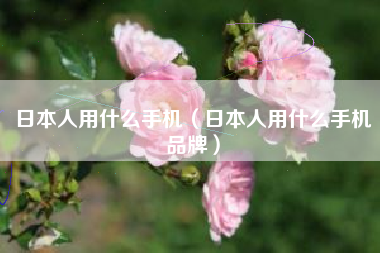 日本人用什么手机（日本人用什么手机品牌）