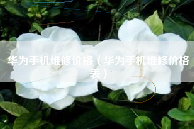 华为手机维修价格（华为手机维修价格表）