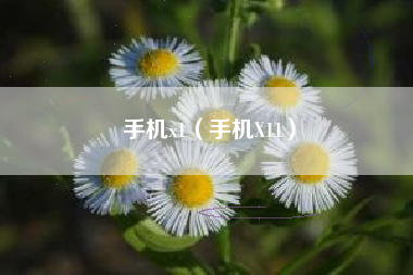 手机x1（手机X11）