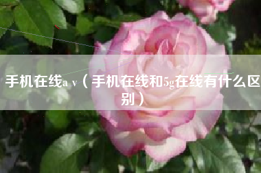 手机在线a v（手机在线和5g在线有什么区别）
