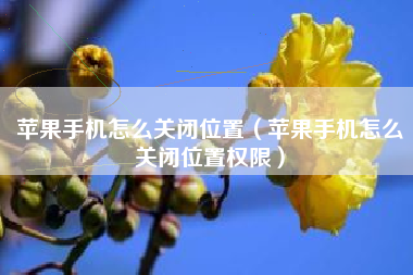 苹果手机怎么关闭位置（苹果手机怎么关闭位置权限）