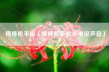 棒棒机手机（棒棒机手机来电没声音）
