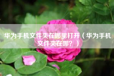 华为手机文件夹在哪里打开（华为手机文件夹在哪？）