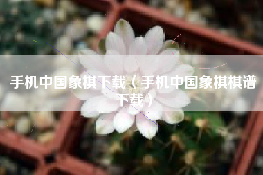 手机中国象棋下载（手机中国象棋棋谱下载）