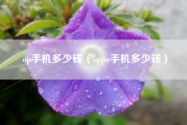 op手机多少钱（oppo手机多少钱）