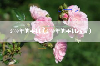 2009年的手机（2009年的手机品牌）