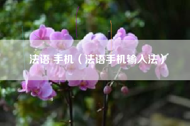 法语 手机（法语手机输入法）