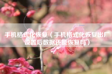 手机格式化恢复（手机格式化恢复出厂设置后数据还能恢复吗）