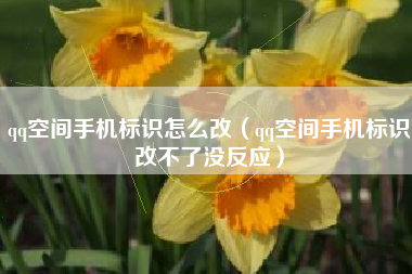 qq空间手机标识怎么改（qq空间手机标识改不了没反应）