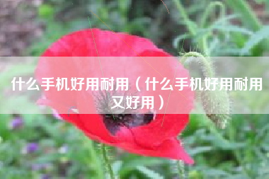 什么手机好用耐用（什么手机好用耐用又好用）