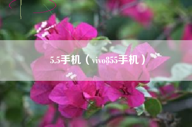 5.5手机（vivo855手机）