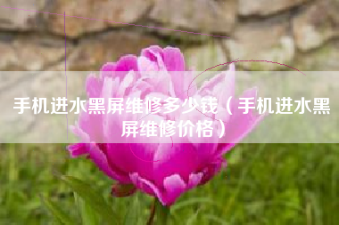 手机进水黑屏维修多少钱（手机进水黑屏维修价格）