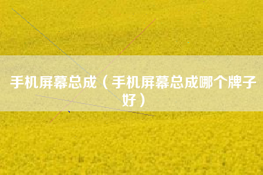 手机屏幕总成（手机屏幕总成哪个牌子好）