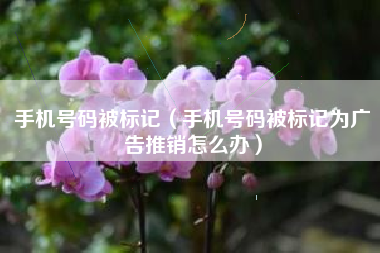 手机号码被标记（手机号码被标记为广告推销怎么办）