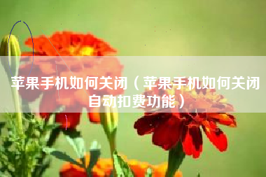 苹果手机如何关闭（苹果手机如何关闭自动扣费功能）