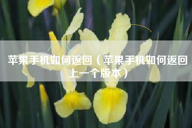 苹果手机如何返回（苹果手机如何返回上一个版本）