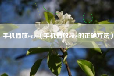 手机播放wmv（手机播放wmv的正确方法）