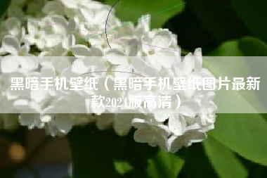 黑暗手机壁纸（黑暗手机壁纸图片最新款2024版高清）