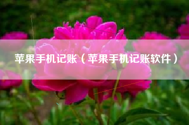 苹果手机记账（苹果手机记账软件）