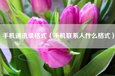 手机通讯录格式（手机联系人什么格式）