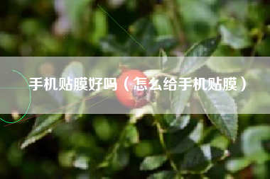 手机贴膜好吗（怎么给手机贴膜）