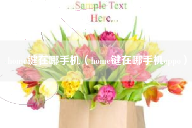 home键在哪手机（home键在哪手机oppo）