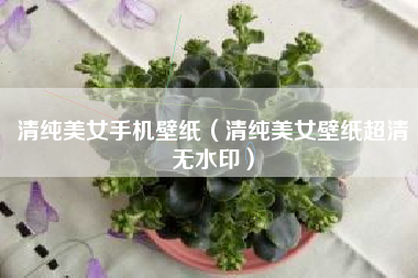 清纯美女手机壁纸（清纯美女壁纸超清无水印）