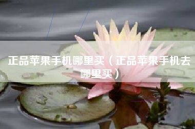 正品苹果手机哪里买（正品苹果手机去哪里买）