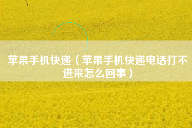 苹果手机快递（苹果手机快递电话打不进来怎么回事）