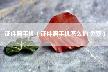 证件照手机（证件照手机怎么拍 免费）