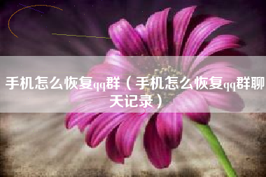 手机怎么恢复qq群（手机怎么恢复qq群聊天记录）