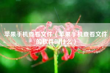 苹果手机查看文件（苹果手机查看文件的软件叫什么）