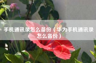 手机通讯录怎么备份（华为手机通讯录怎么备份）