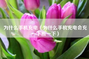 为什么手机充电（为什么手机充电会充一下断一下）