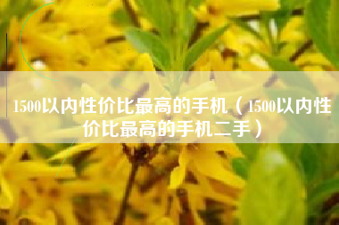 1500以内性价比最高的手机（1500以内性价比最高的手机二手）