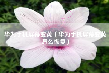 华为手机屏幕变黄（华为手机屏幕变黄怎么恢复）
